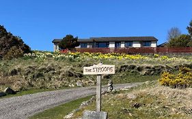 The Stroops